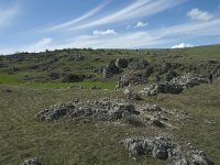 F, Lozere, Gatuzieres, Aures 7, Saxifraga-Willem van Kruijsbergen